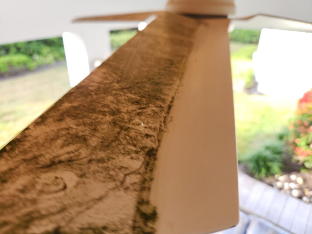 Ceiling fan cleaning in a residential home in Vero Beach Florida